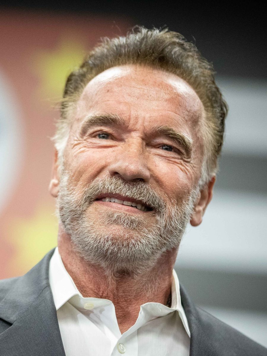 Arnold Schwarzenegger in 2019, at a public meeting in São Paulo